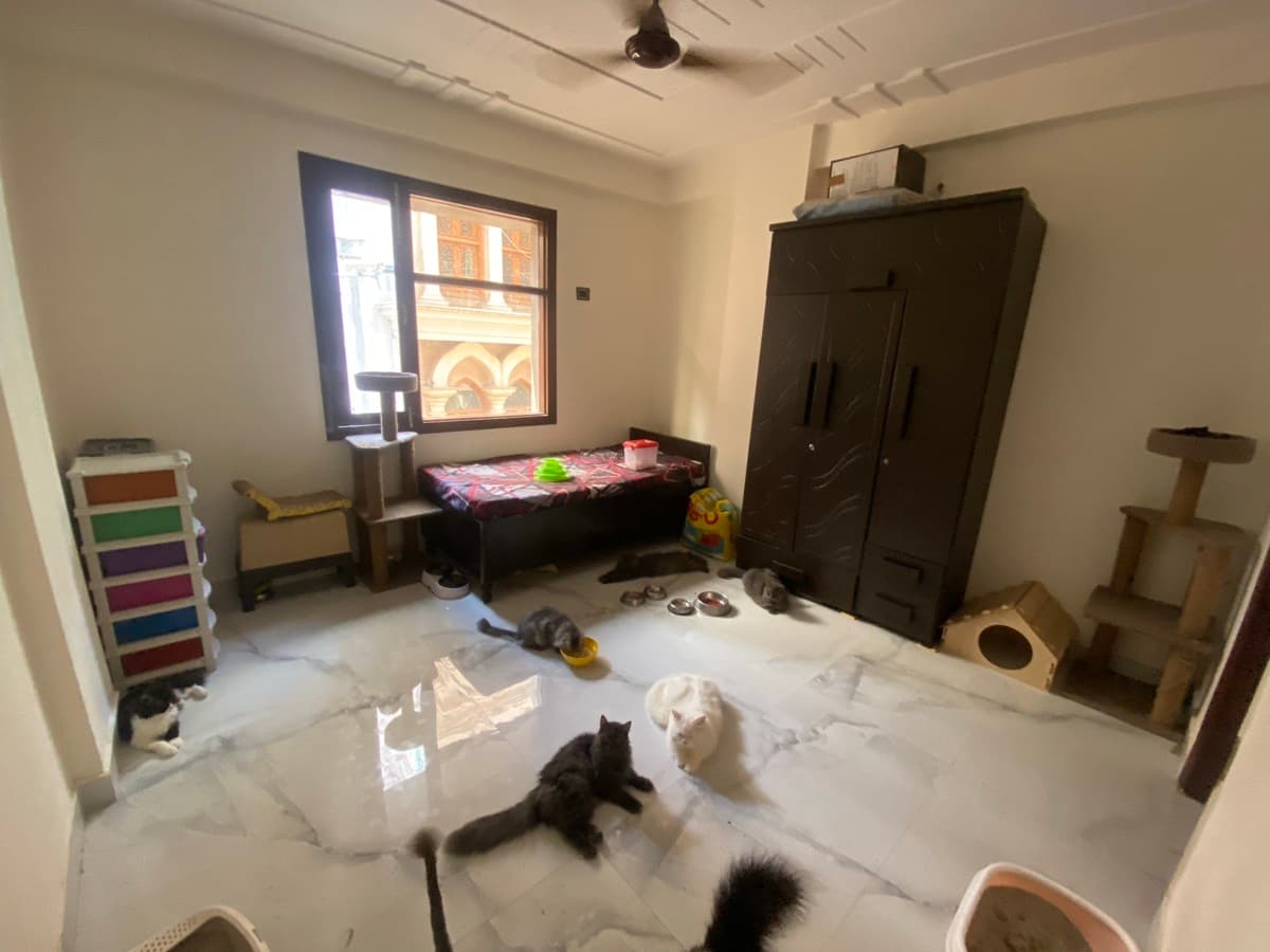 Tabiya's home photo 1