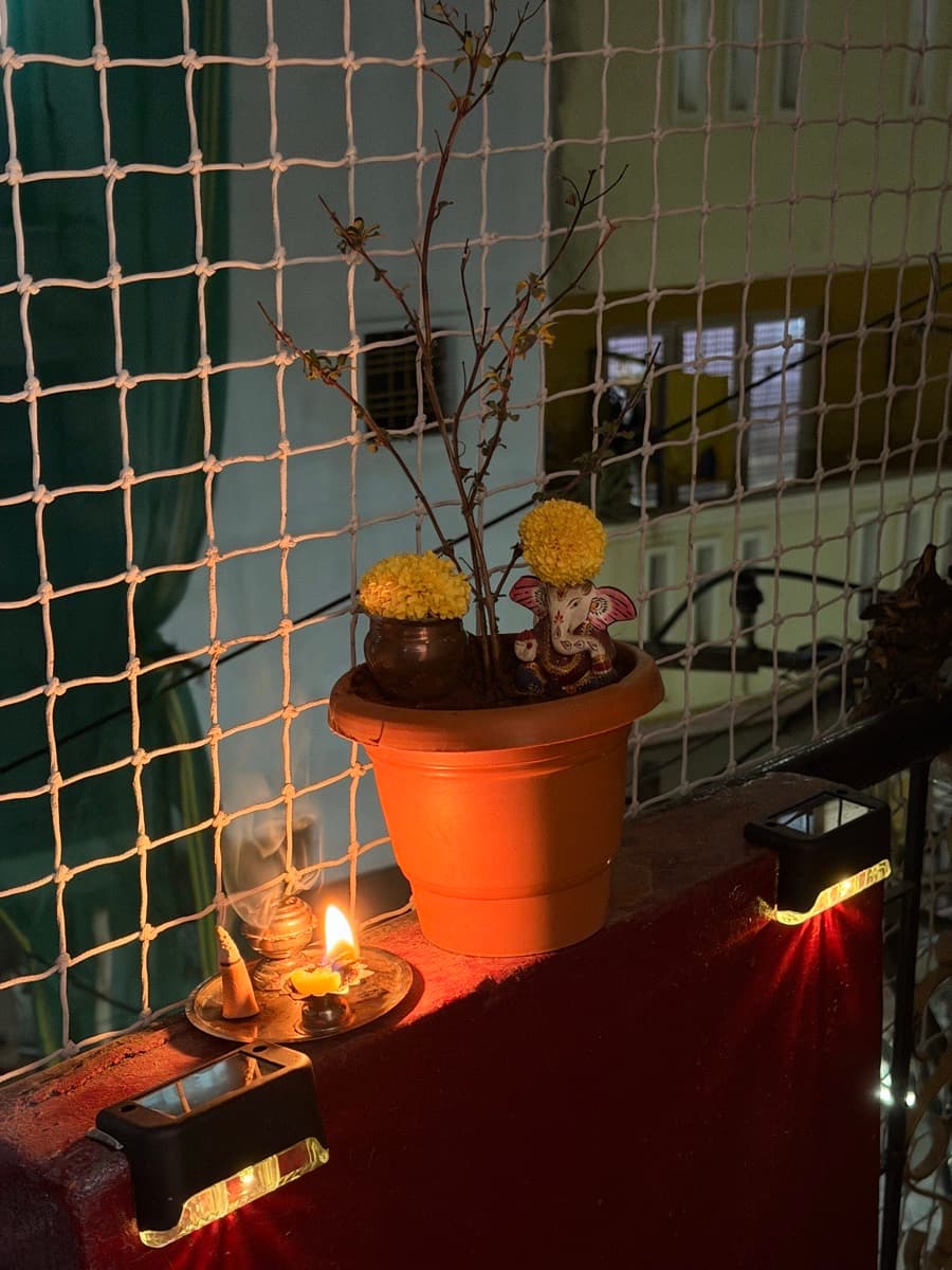 Kriti's home photo 2