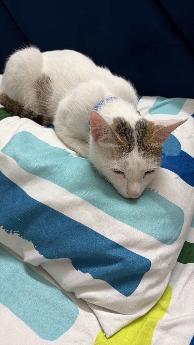 Pranjali's home photo 5