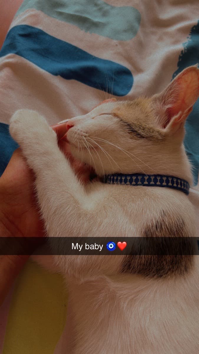 Pranjali's home photo 4