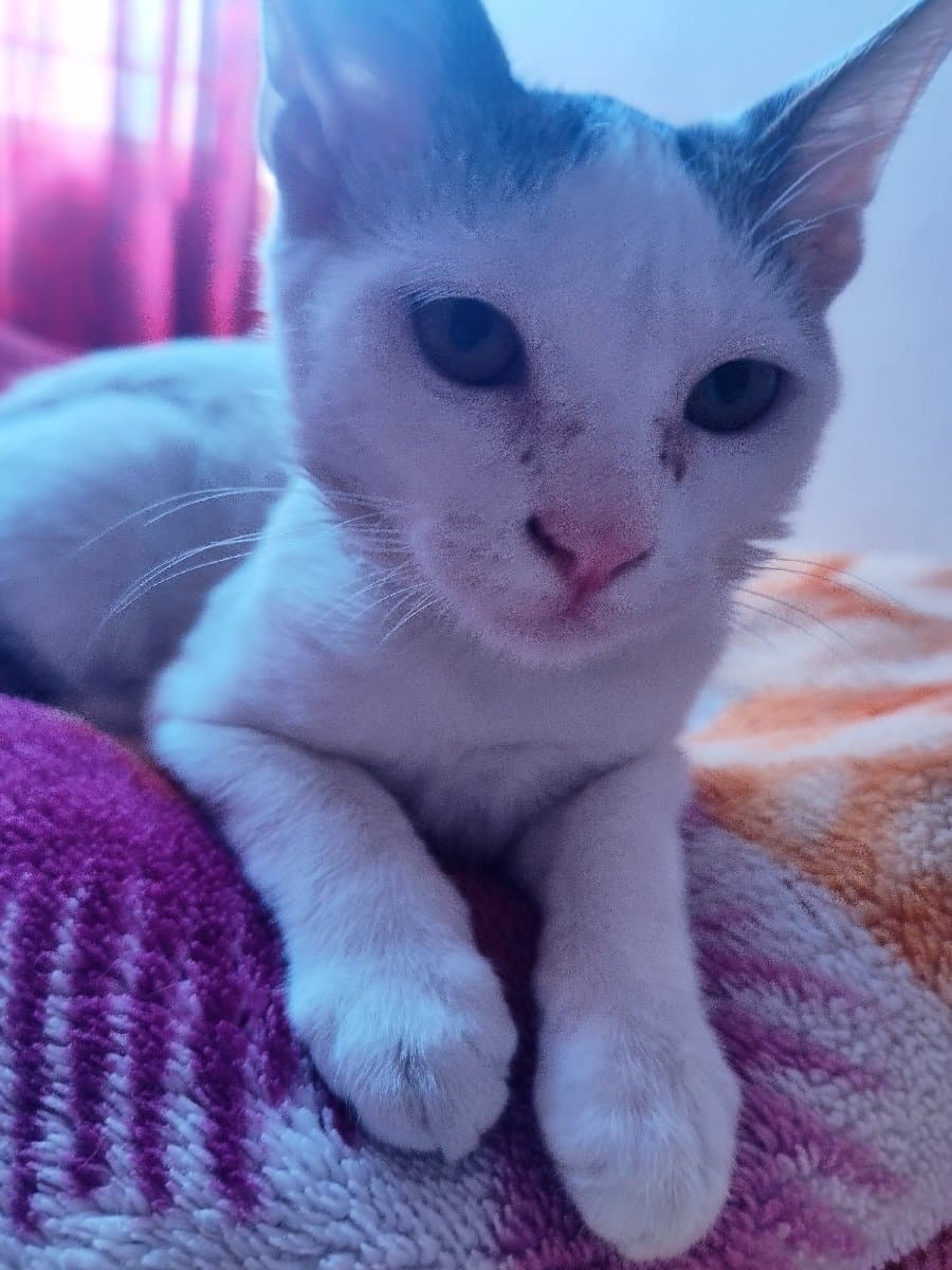 Kavita's home photo 2