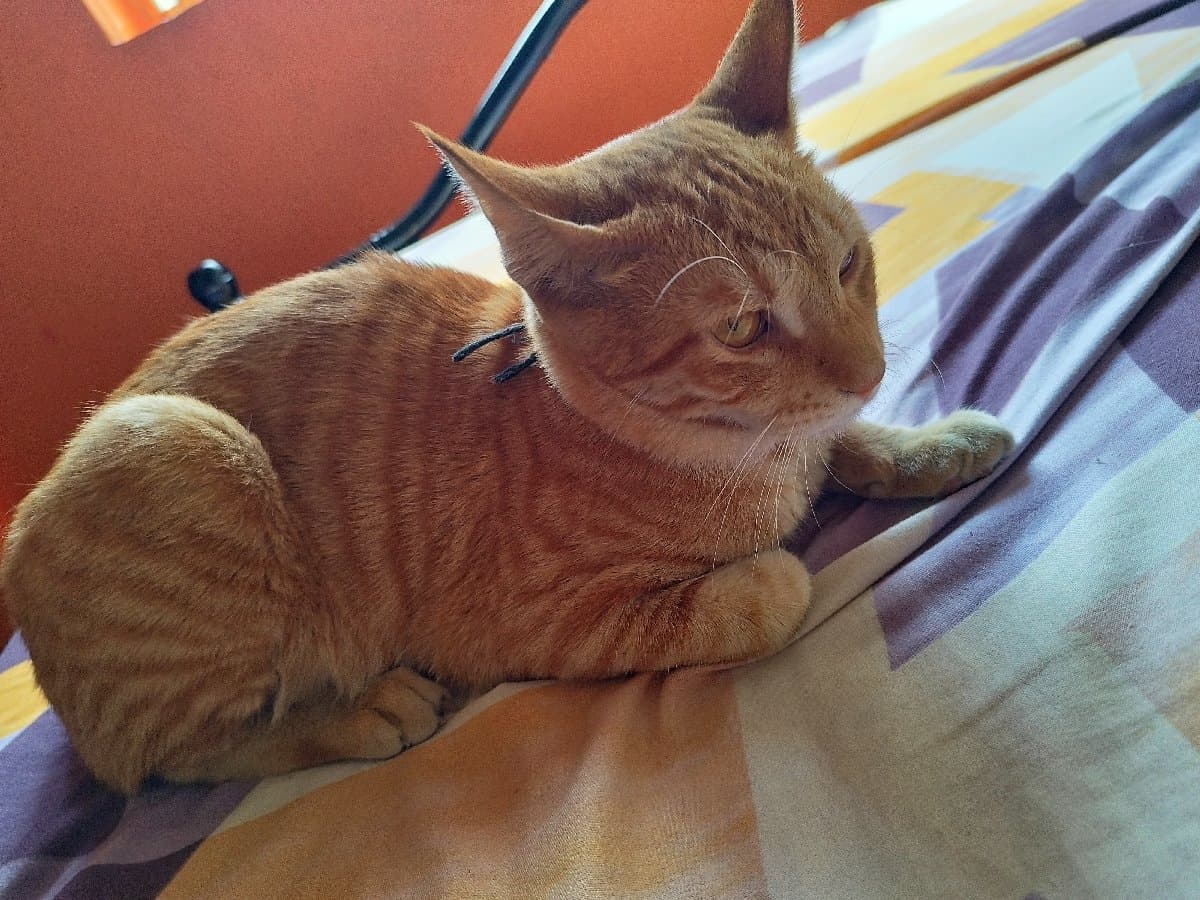 Kavita's home photo 1