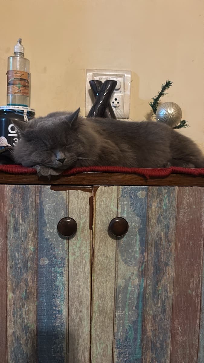 Vedant's home photo 3