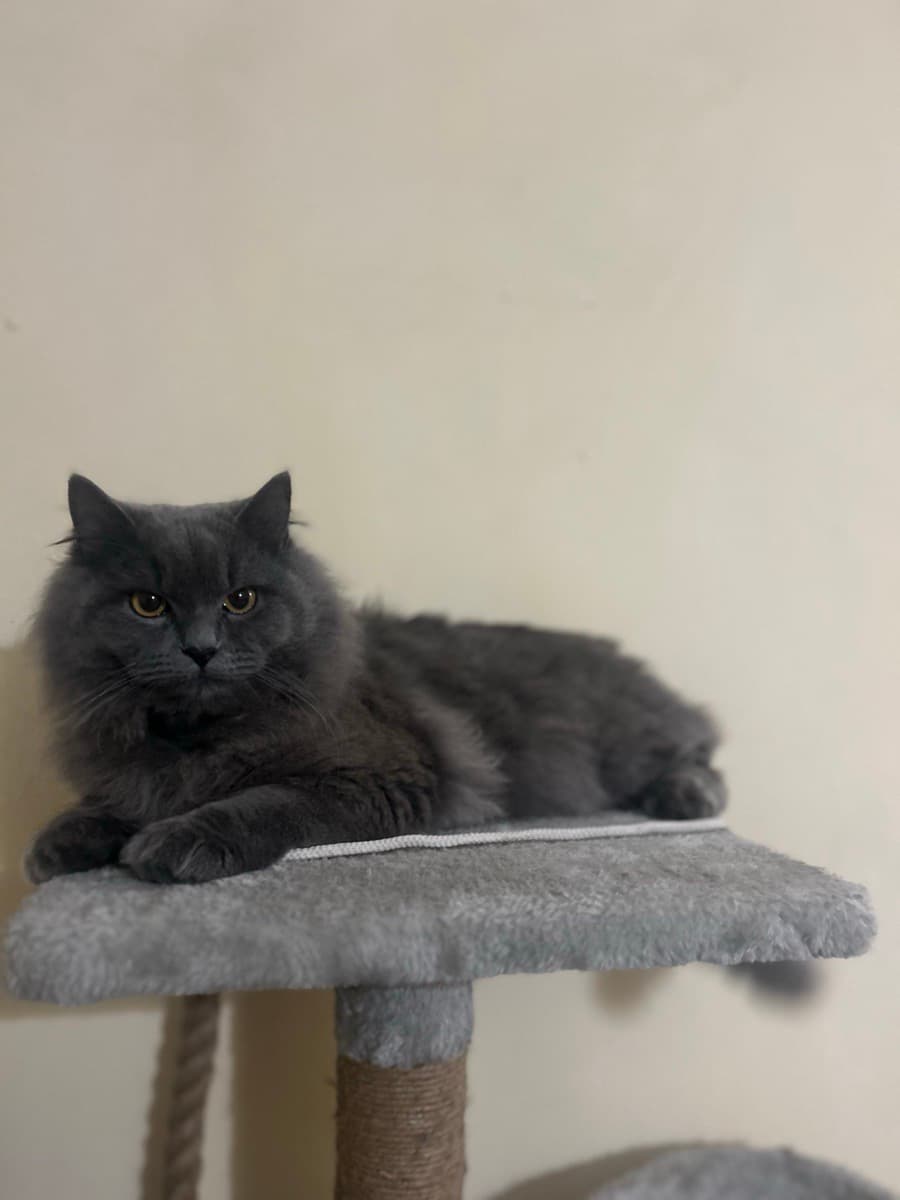 Vedant's home photo 6