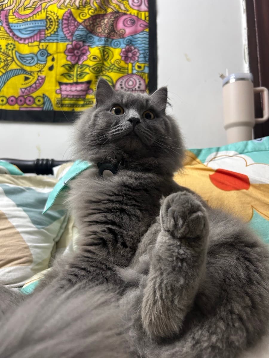 Vedant's home photo 5