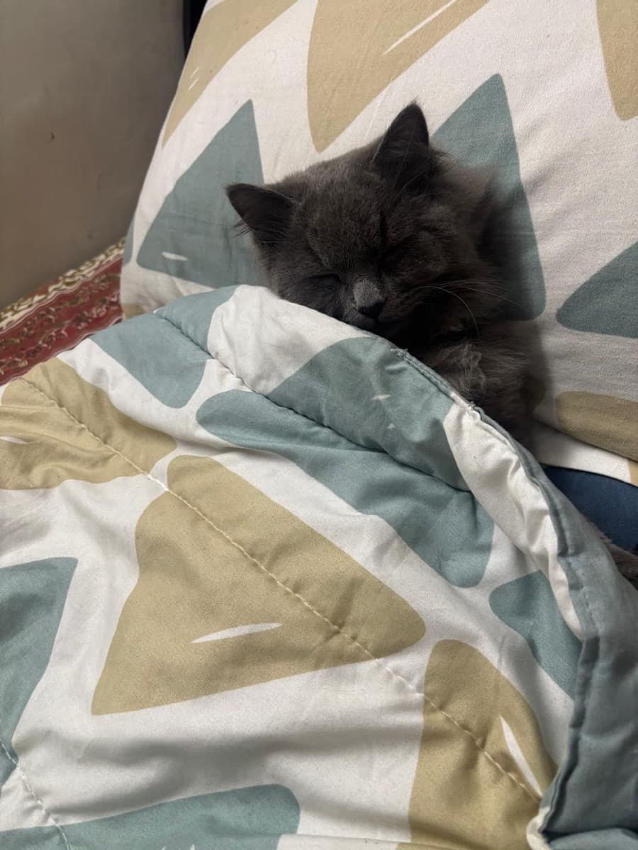 Vedant's home photo 7