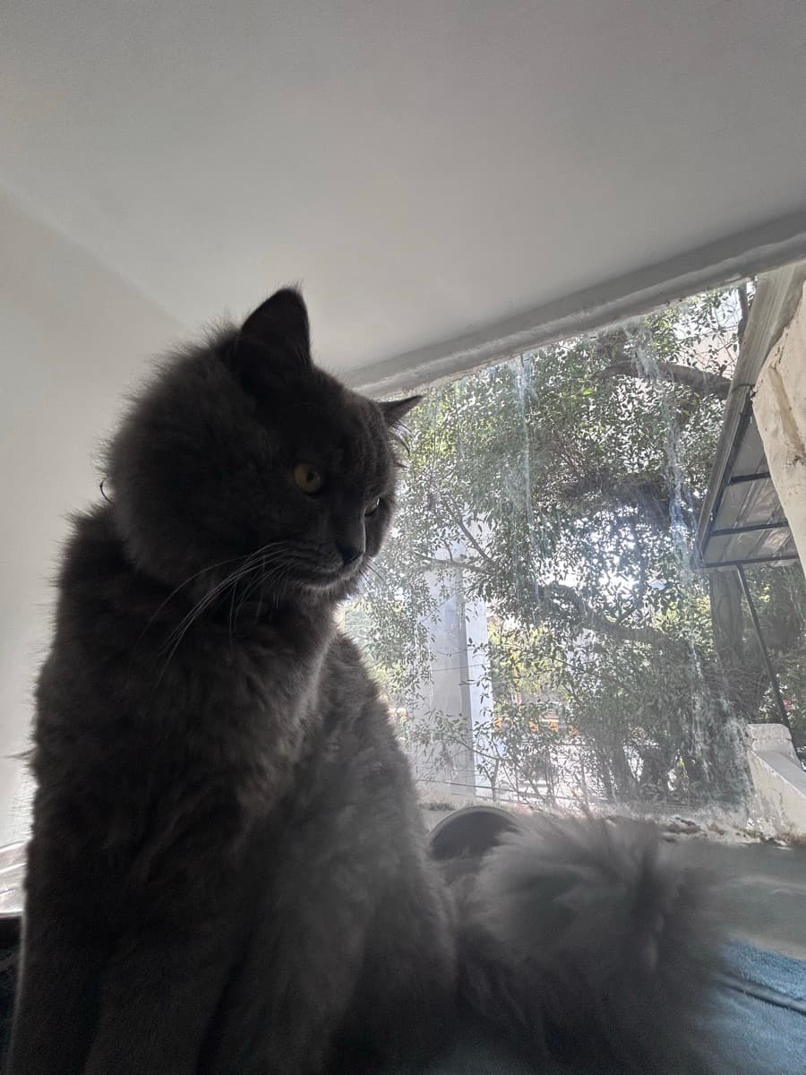 Vedant's home photo 4