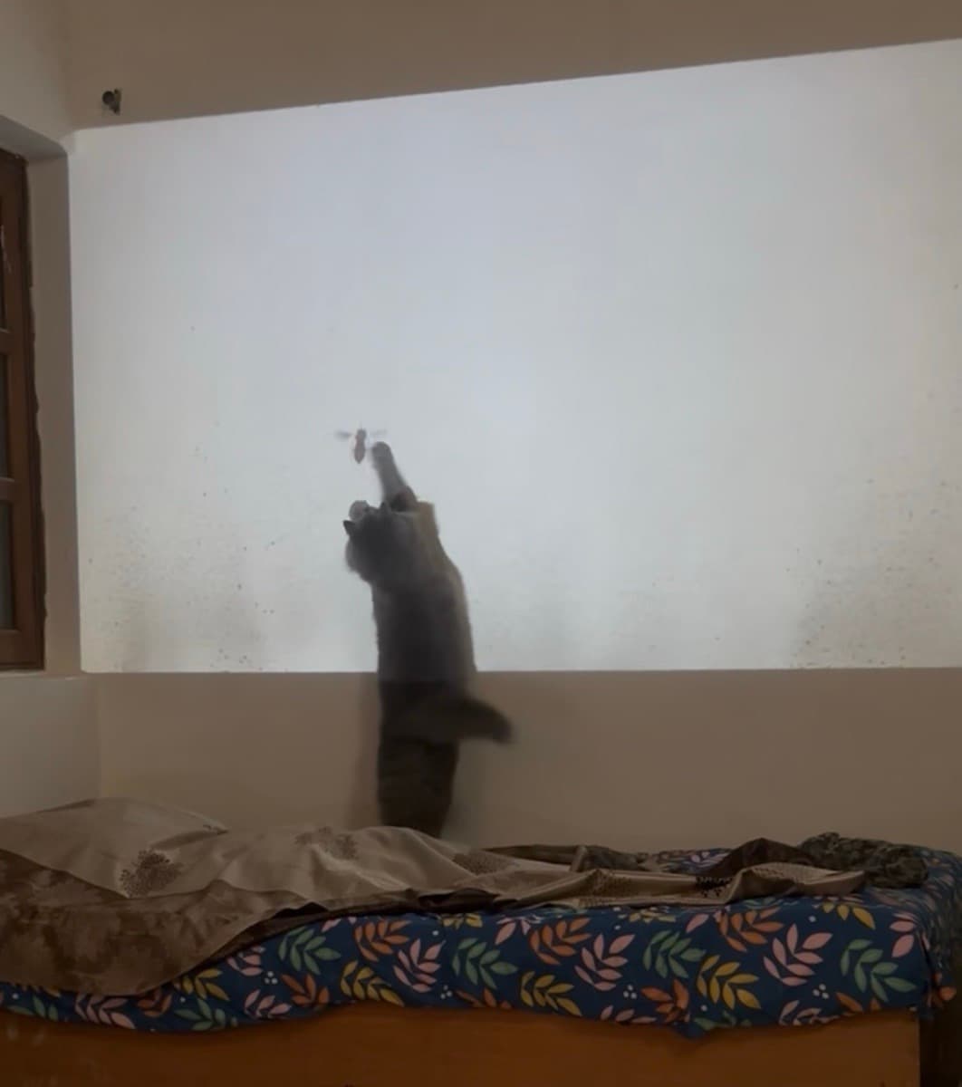 Vedant's home photo 2