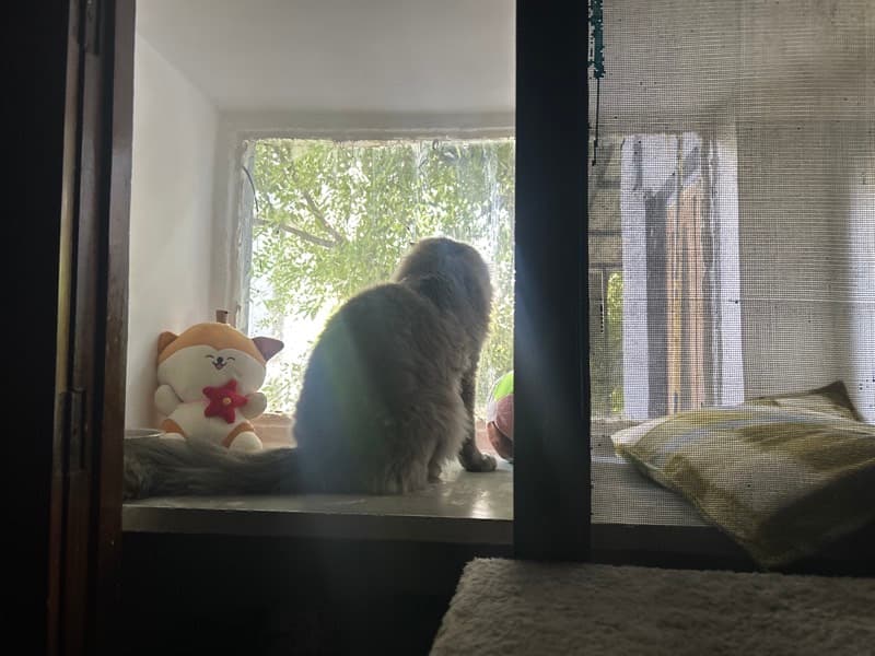 Vedant's home photo 8