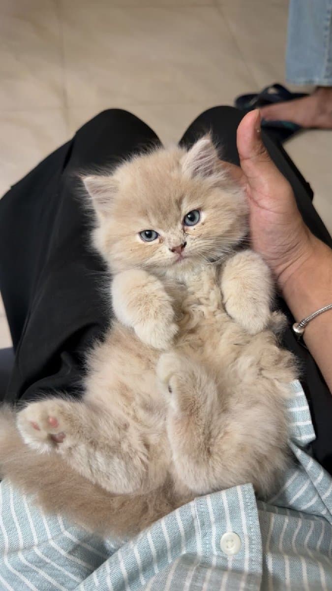 Josh's profile photo