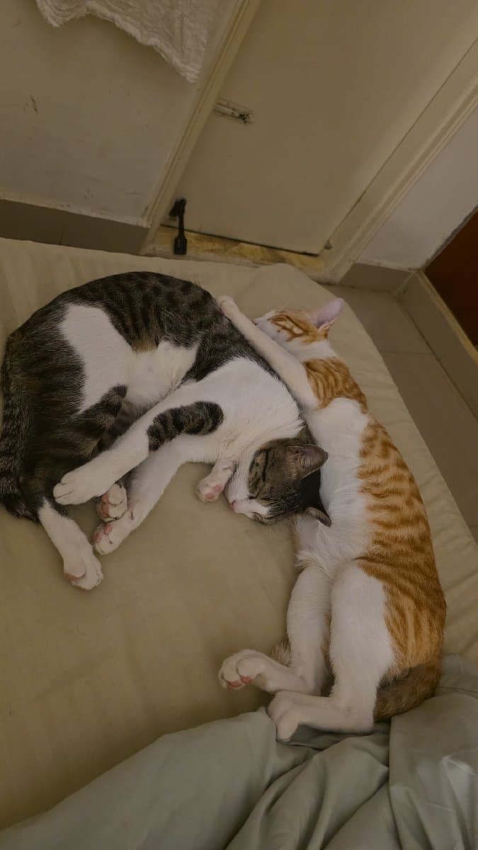 Rishita's home photo 2