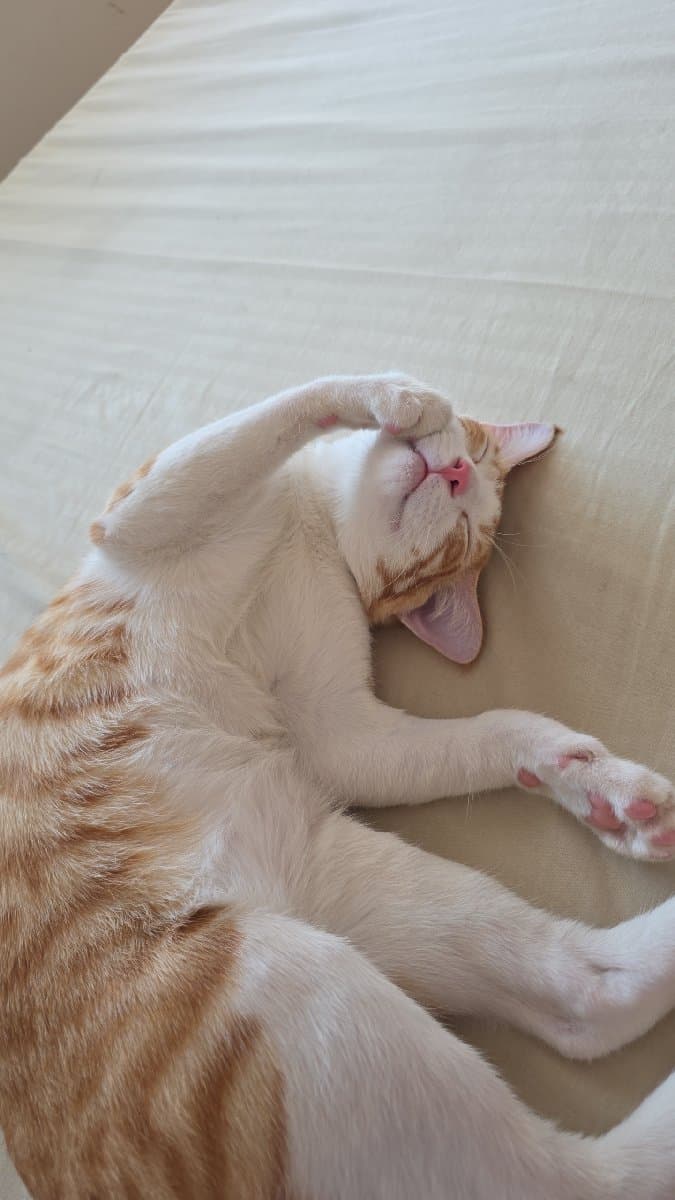 Rishita's home photo 1