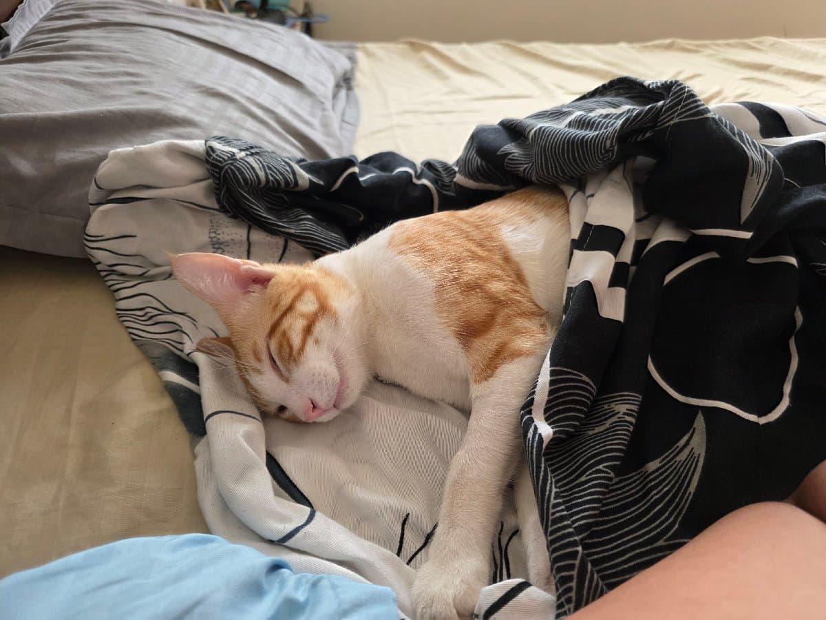 Rishita's home photo 3