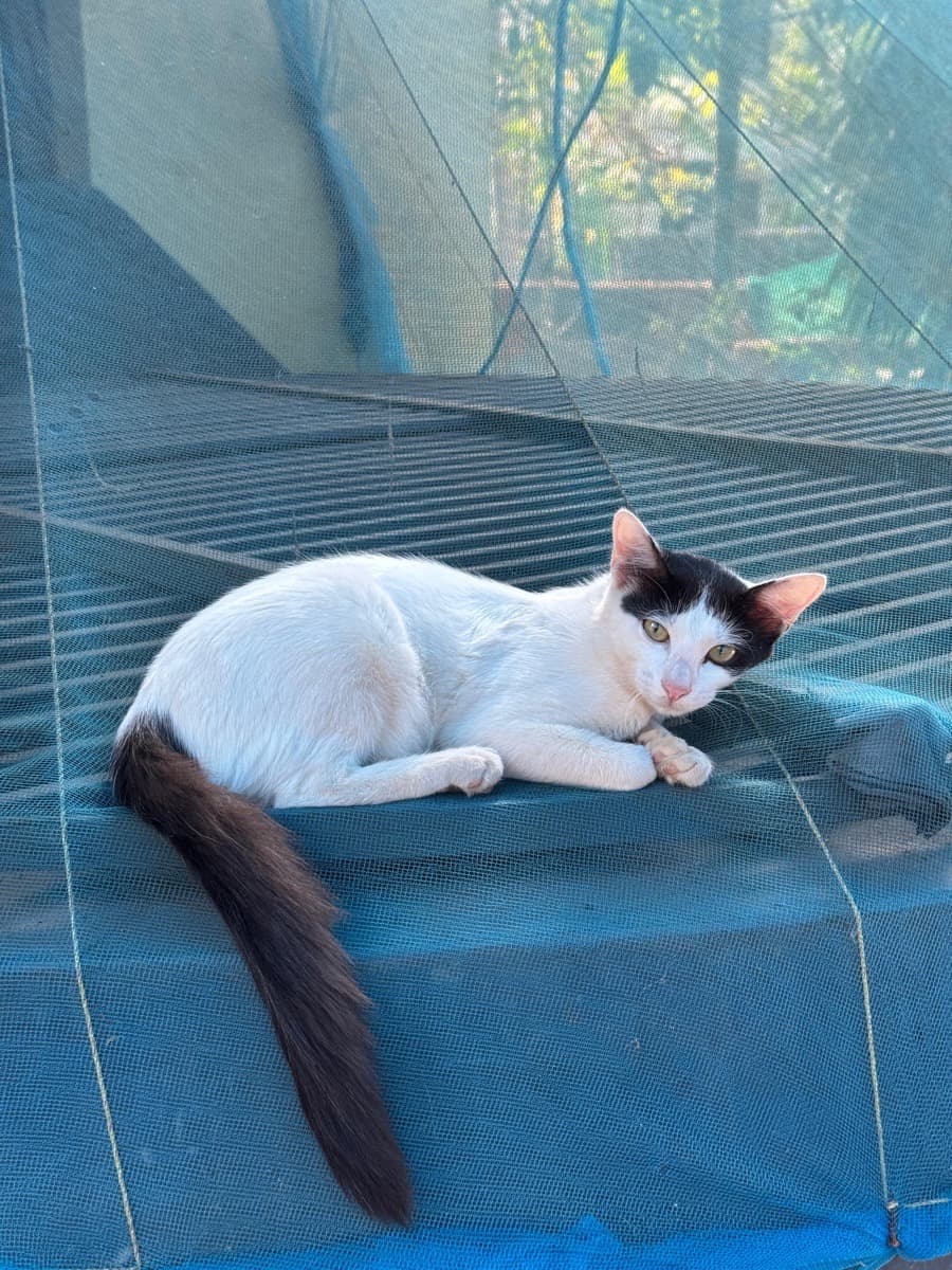 Ajnas's home photo 4