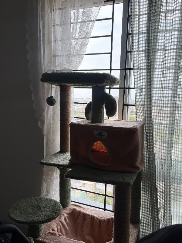 FASNA's home photo 3