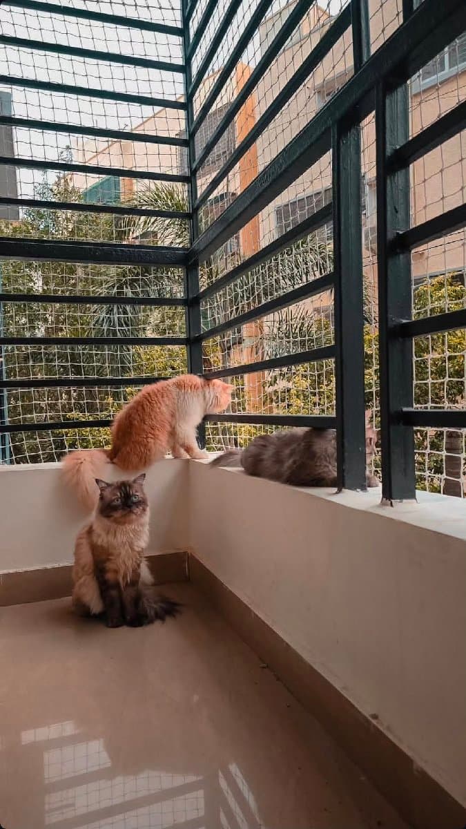 Dhruv's home photo 6