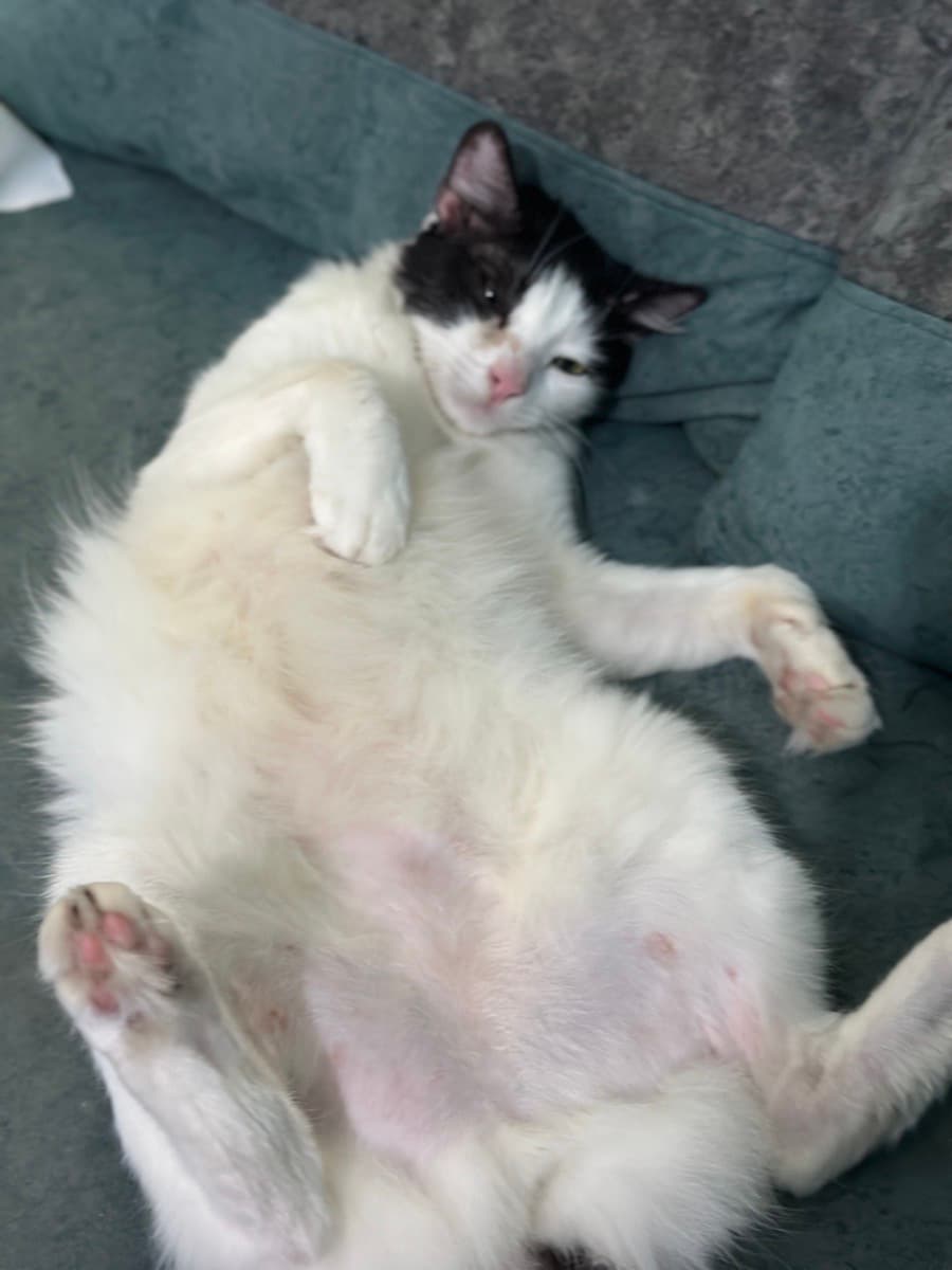 ANKITA's home photo 2