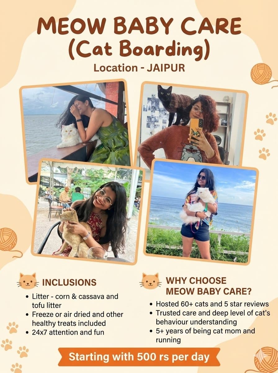 Aditi's profile photo