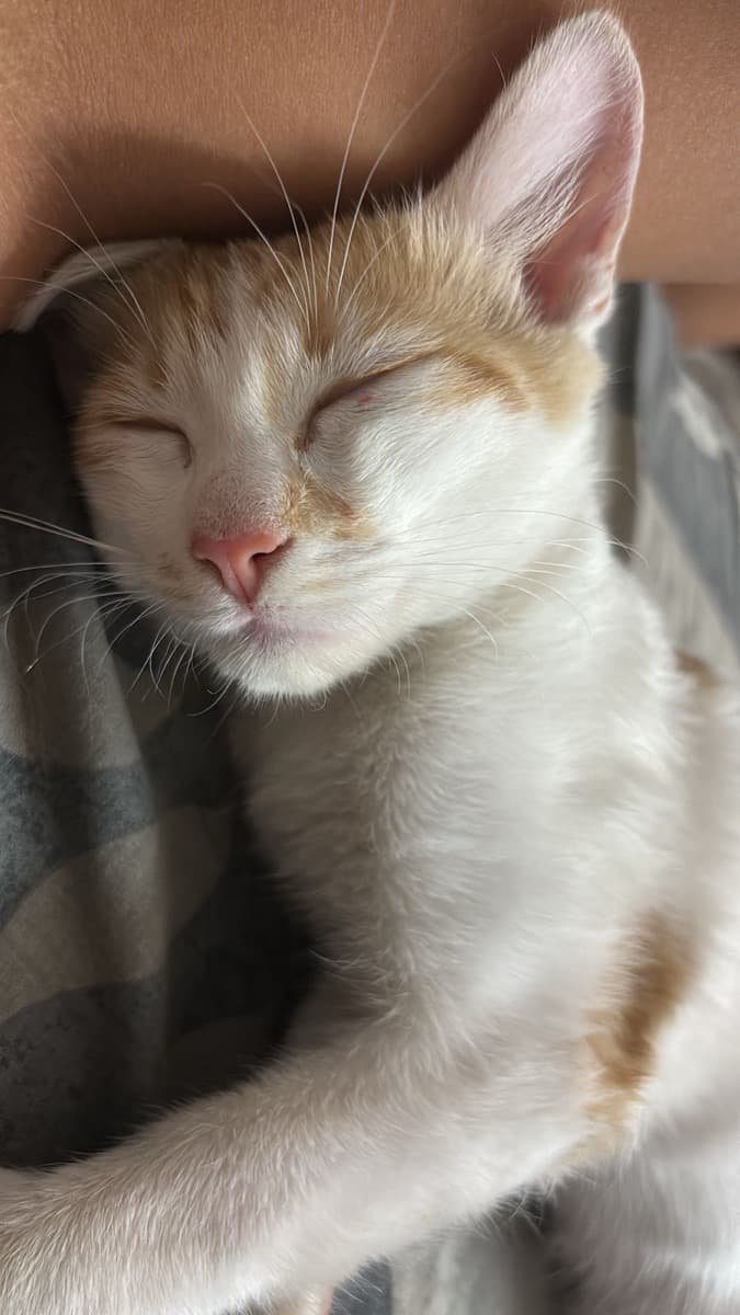 Ankit's home photo 4