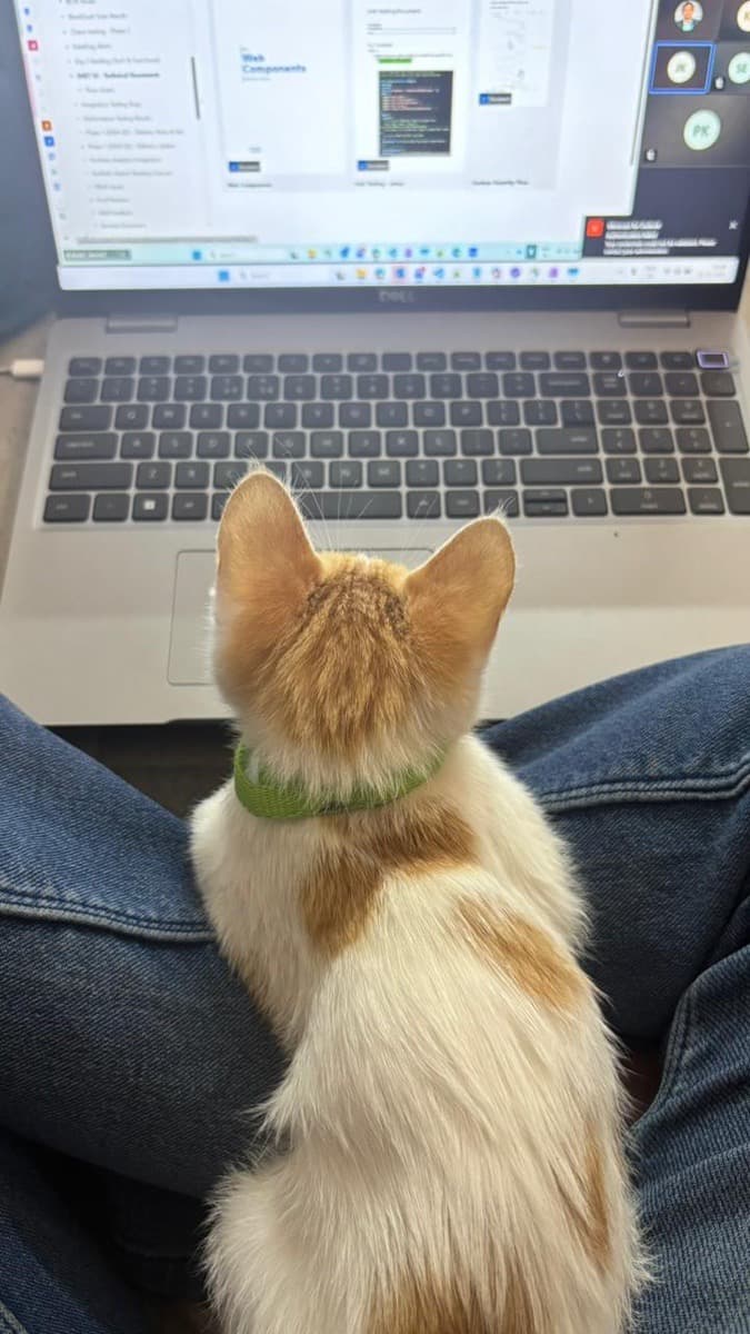 Ankit's home photo 1