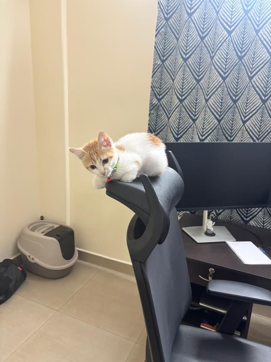 Ankit's home photo 2