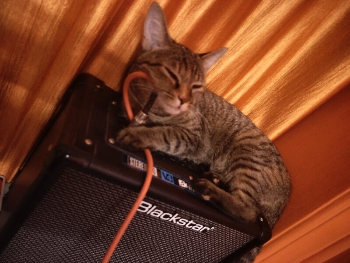 Aarvin's home photo 2