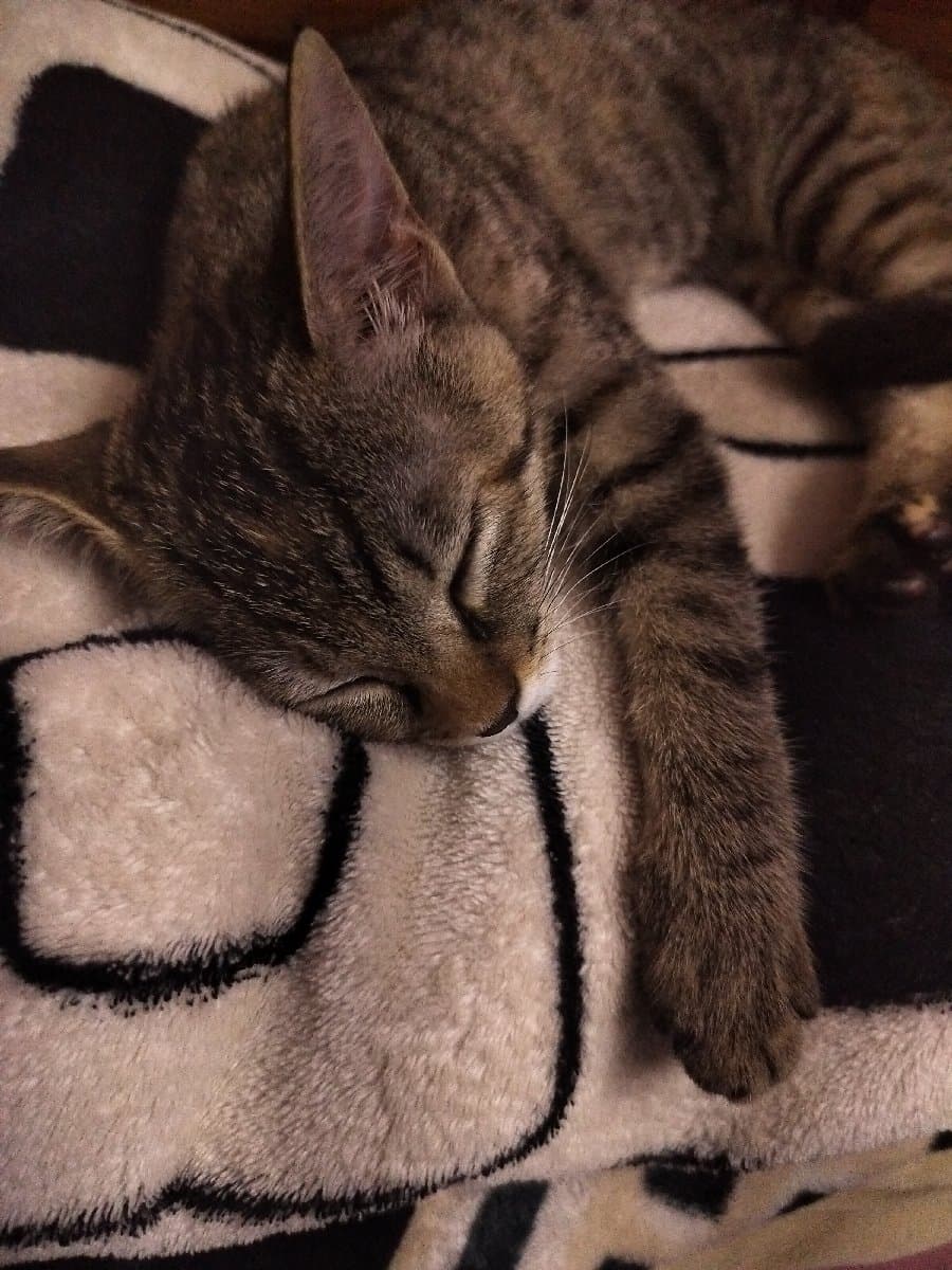 Aarvin's home photo 3