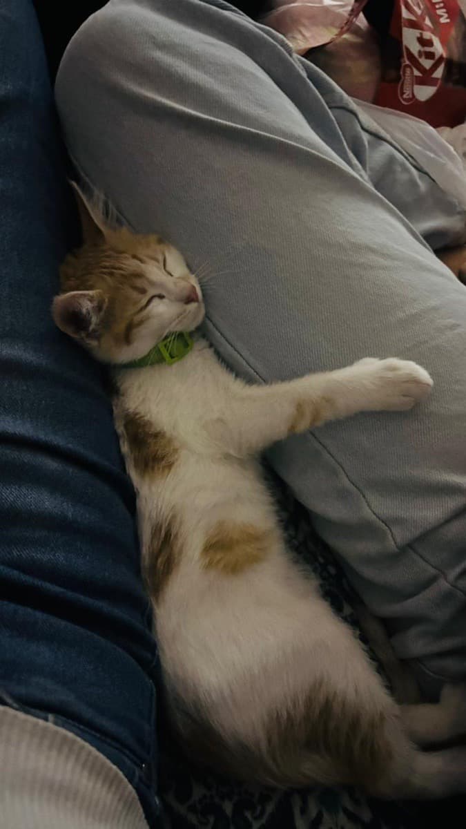 Ankit's home photo 5