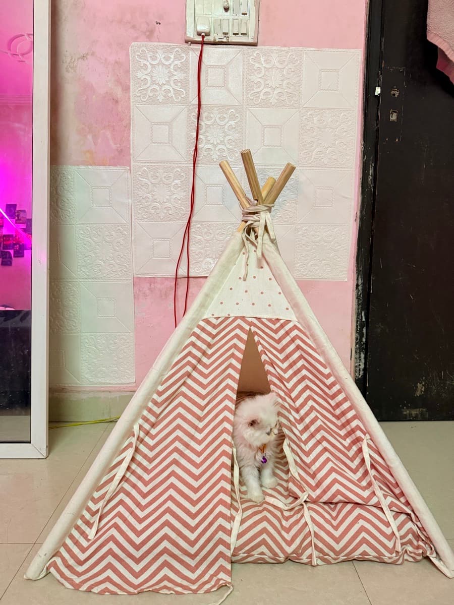 Anshu's home photo 1