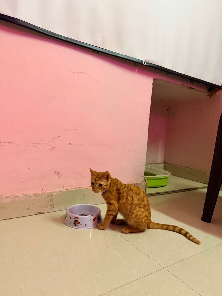 Anshu's home photo 2