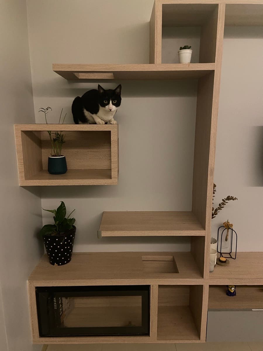 Aditya's home photo 5