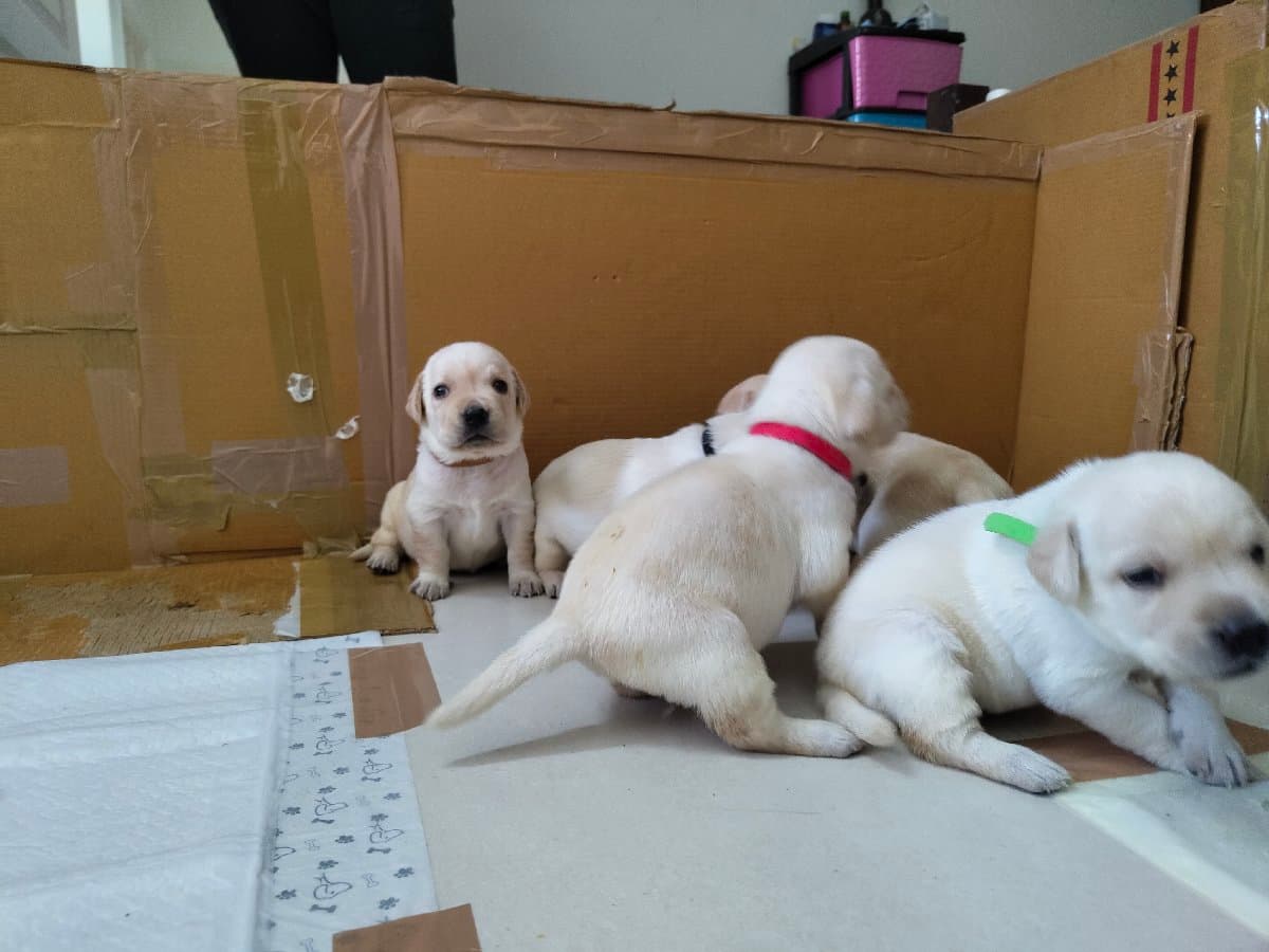 Rijith's home photo 3