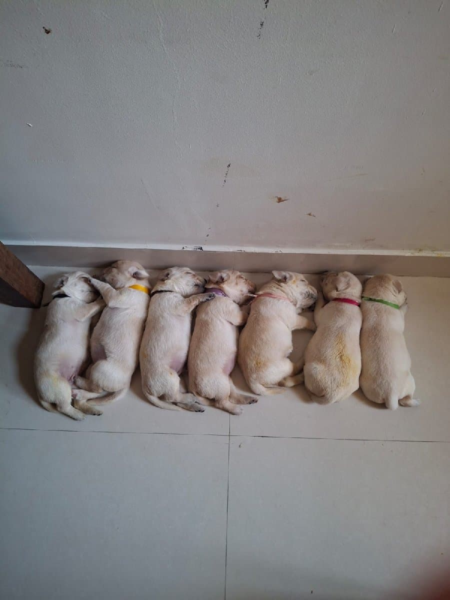 Rijith's home photo 1