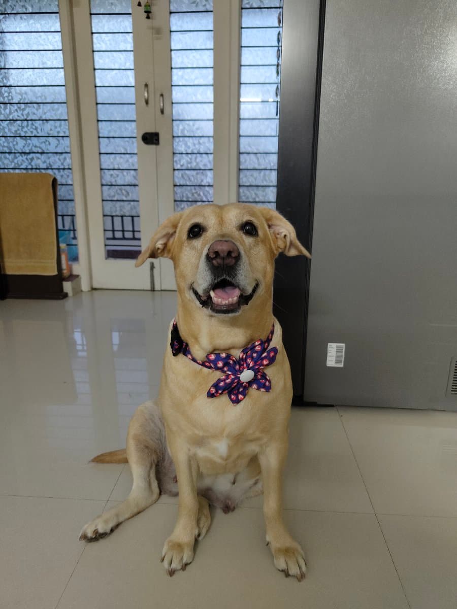 Rijith's home photo 8