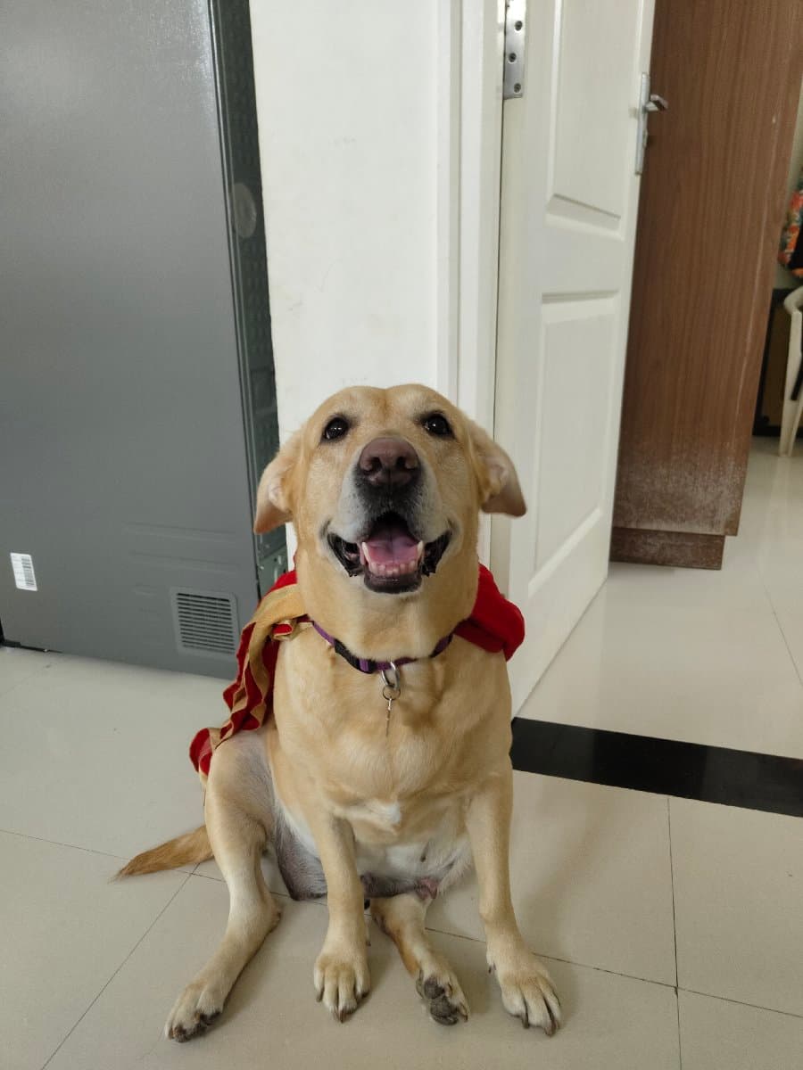 Rijith's home photo 6