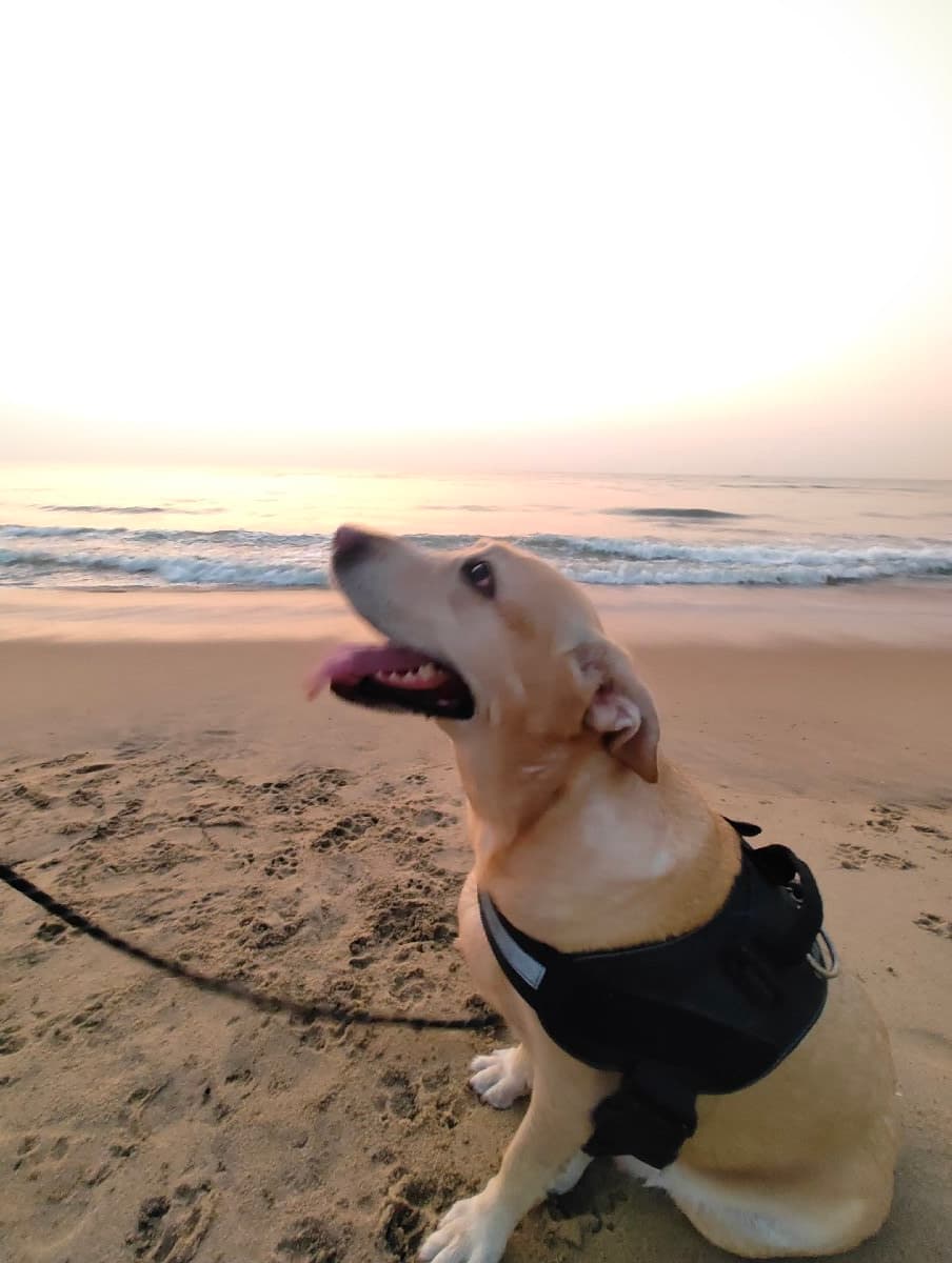 Rijith's home photo 10