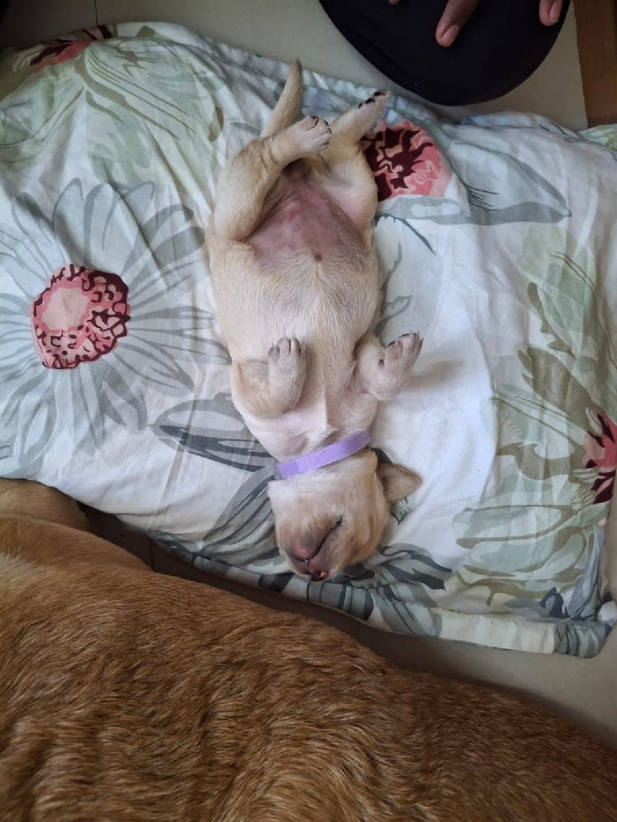 Rijith's home photo 2