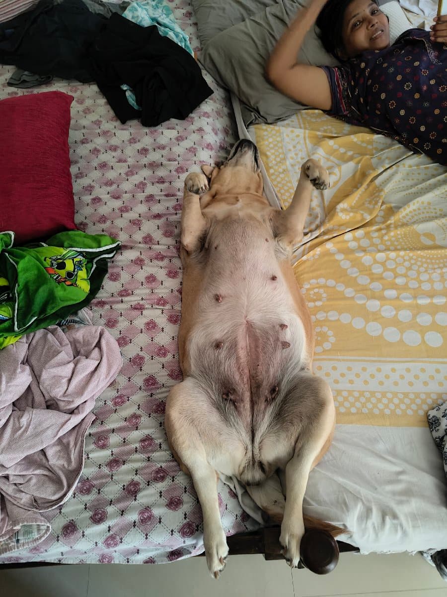 Rijith's home photo 7