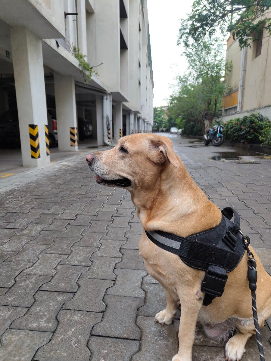 Rijith's home photo 9