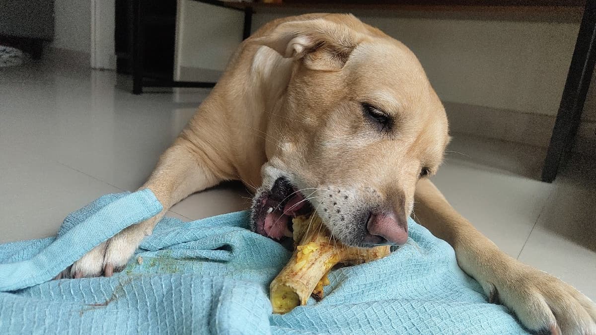 Rijith's home photo 5