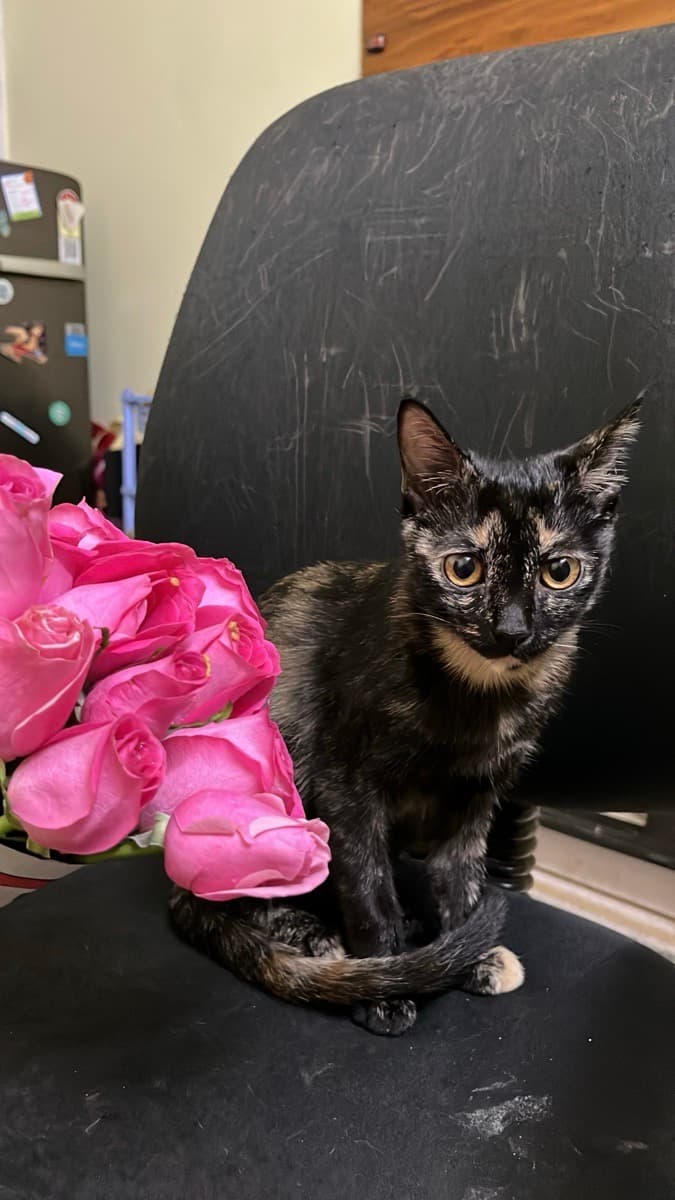 Naguru's home photo 5