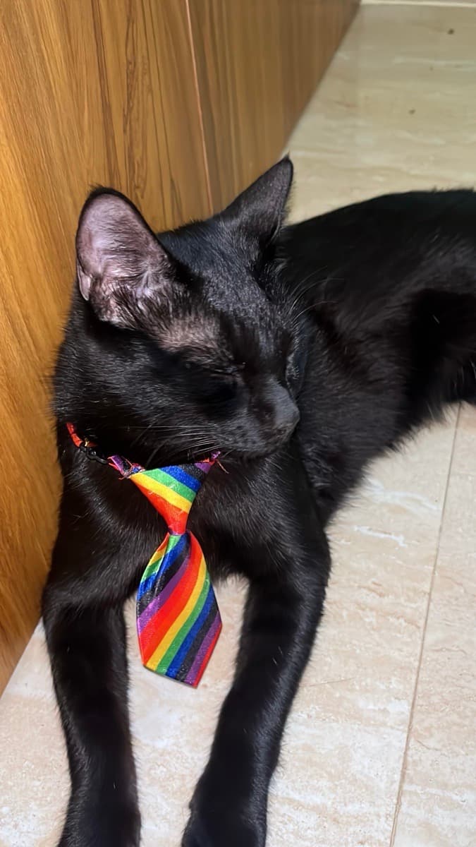 Naguru's home photo 3