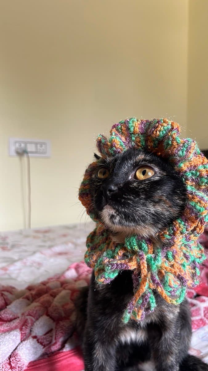 Naguru's home photo 4