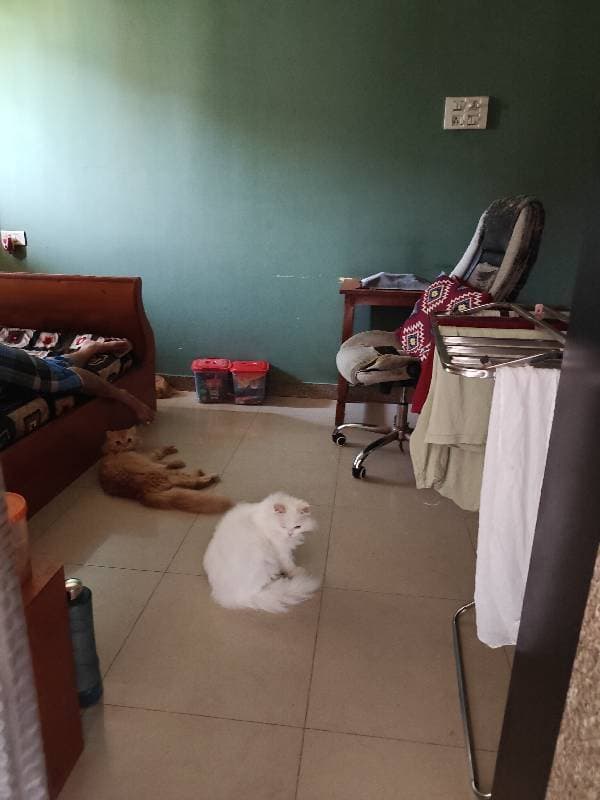 Sabrina's home photo 1