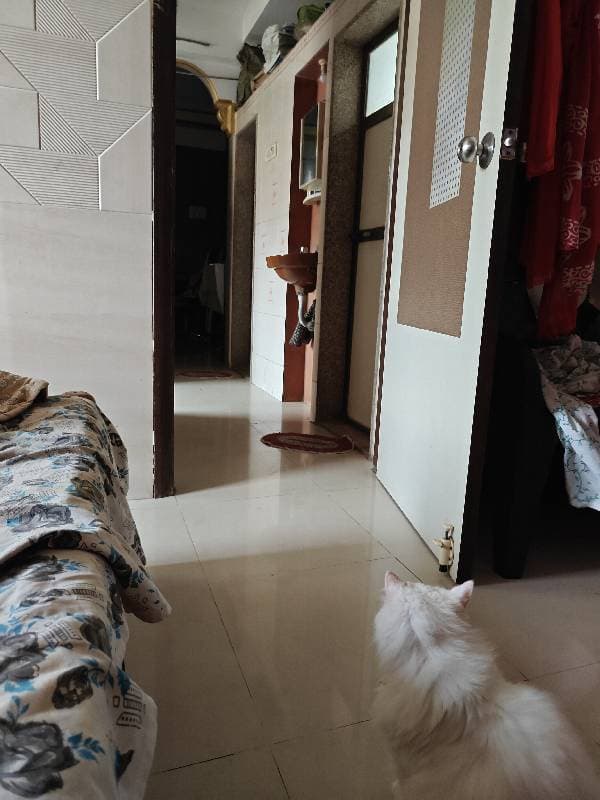 Sabrina's home photo 2