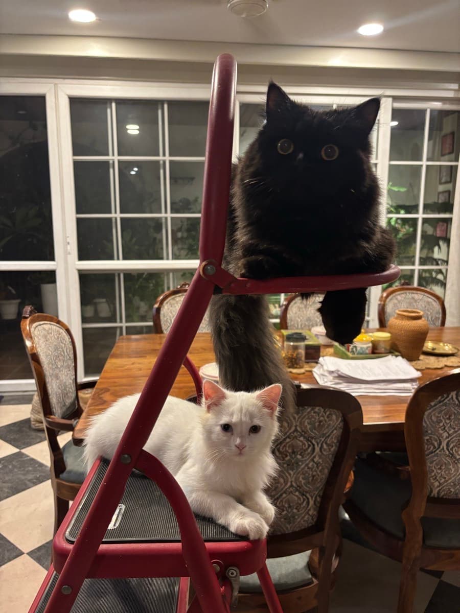 Tanvi's home photo 7