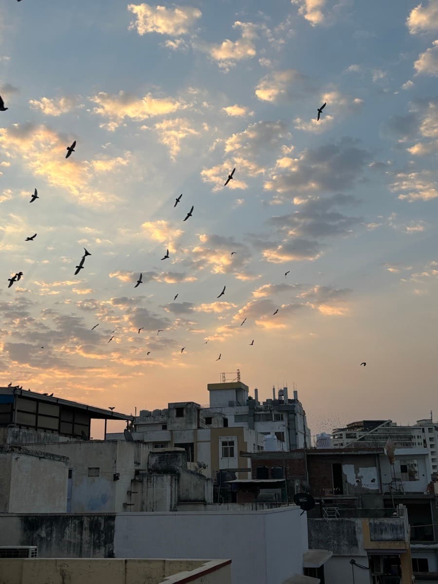 Tanvi's home photo 5