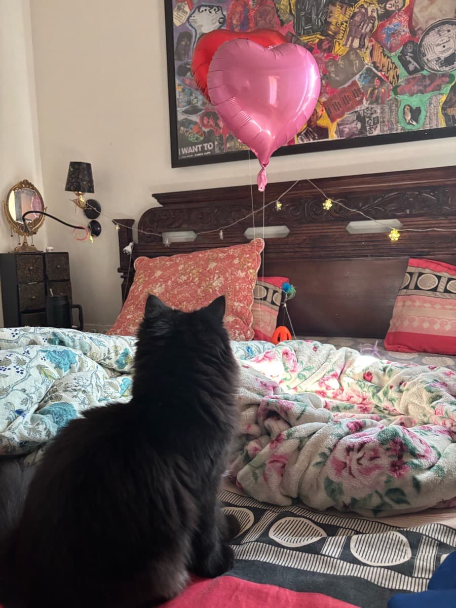 Tanvi's home photo 4