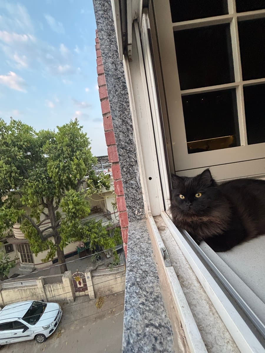 Tanvi's home photo 6