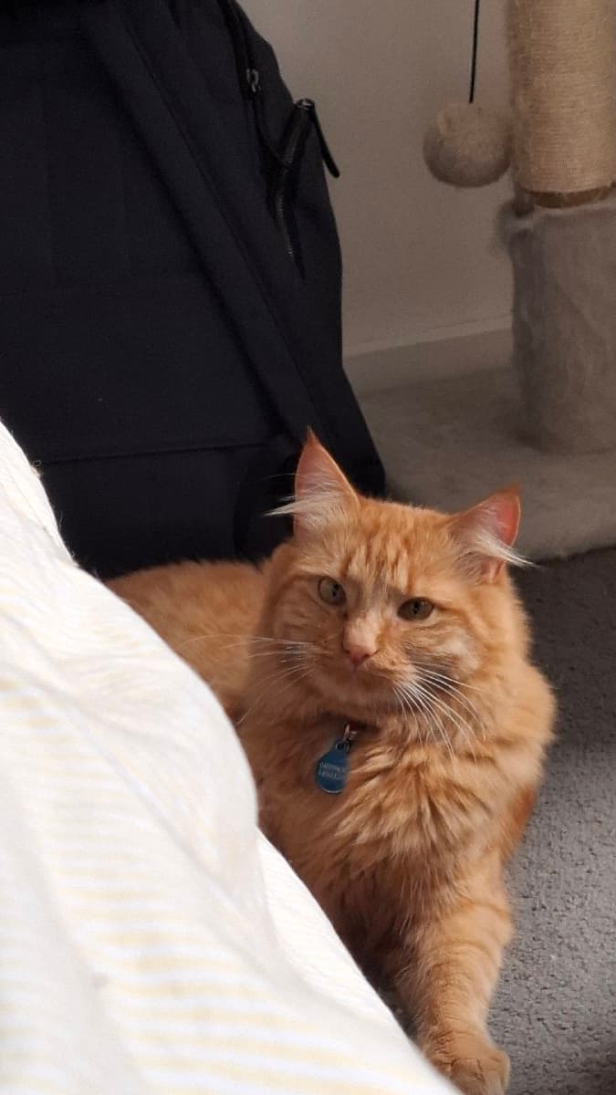 Sirisha's home photo 2